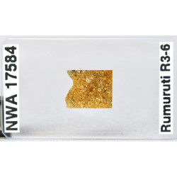 Lame mince de météorite NWA 17584 Rumuruti R3-6 (NWA - 065*)