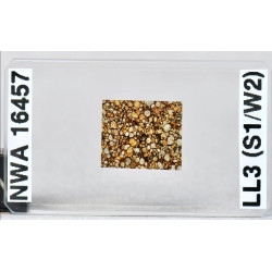 Lame mince de météorite NWA 16457 Chondrite LL3 (NWA - 066*)