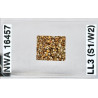 Lame mince de météorite NWA 16457 Chondrite LL3 (NWA - 066*)