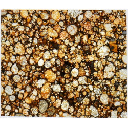 Lame mince de météorite NWA 16457 Chondrite LL3 (NWA - 066*)