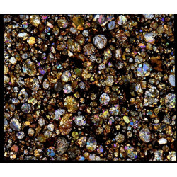 Lame mince de météorite NWA 16457 Chondrite LL3 (NWA - 066*)