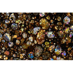 Lame mince de météorite NWA 16457 Chondrite LL3 (NWA - 066*)