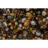 Lame mince de météorite NWA 16457 Chondrite LL3 (NWA - 066*)
