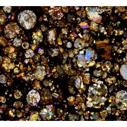 Lame mince de météorite NWA 16457 Chondrite LL3 (NWA - 066*)