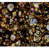 Lame mince de météorite NWA 16457 Chondrite LL3 (NWA - 066*)