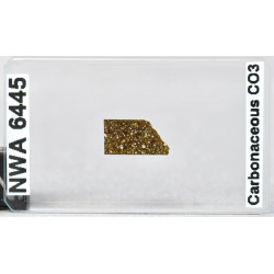 Lame mince de météorite NWA 6445 Chondrite carbonée CO3 (NWA - 067*)