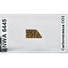 Lame mince de météorite NWA 6445 Chondrite carbonée CO3 (NWA - 067*)