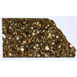 Lame mince de météorite NWA 6445 Chondrite carbonée CO3 (NWA - 067*)