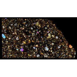 Lame mince de météorite NWA 6445 Chondrite carbonée CO3 (NWA - 067*)