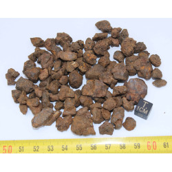 lot de météorites NWA 7920  - Pallasite PMG ( 030 - 100 grammes )
