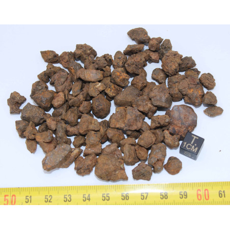 lot de météorites NWA 7920  - Pallasite PMG ( 030 - 100 grammes )