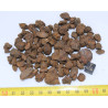 lot de météorites NWA 7920  - Pallasite PMG ( 030 - 100 grammes )