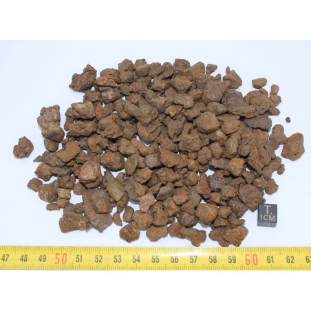 Lot de météorites NWA 7920  - Pallasite PMG ( 029 - 250 grammes )