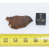 Tranche de de météorite Al Haggounia 001 - EL chondrite impact melt rock (Maroc- 4.4 grammes - 010**)