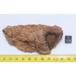 Météorite Al Haggounia 001 / MWA 4420 Chondrite EL Enstatite ( 207 grammes - 030 ** )