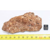 Météorite Al Haggounia 001 / MWA 4420 Chondrite EL Enstatite ( 207 grammes - 030 ** )