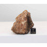 Météorite Al Haggounia 001 / MWA 4420 Chondrite EL Enstatite ( 207 grammes - 030 ** )
