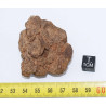 Météorite Al Haggounia 001 / MWA 4420 Chondrite EL Enstatite ( 72 grammes - 017  ** )