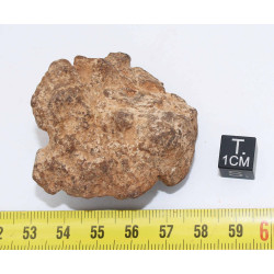 Météorite Al Haggounia 001 / MWA 4420 Chondrite EL Enstatite ( 72 grammes - 017  ** )