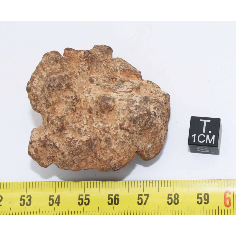 Météorite Al Haggounia 001 / MWA 4420 Chondrite EL Enstatite ( 72 grammes - 017  ** )