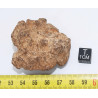 Météorite Al Haggounia 001 / MWA 4420 Chondrite EL Enstatite ( 72 grammes - 017  ** )