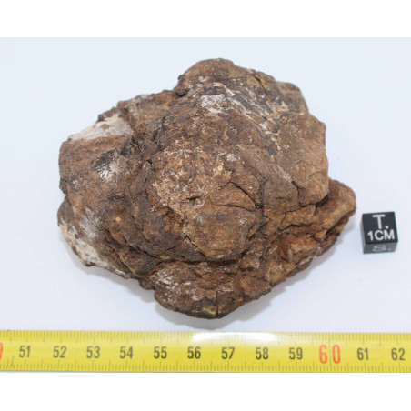 Météorite NWA 4420 / Al Haggounia 001 Chondrite EL Enstatite ( 452 grammes - 041 ** )