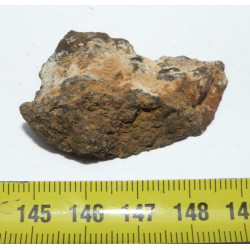Talon de de Météorite Al Haggounia 001 / MWA 4420 Chondrite EL Enstatite (17 grammes - 043 ** )
