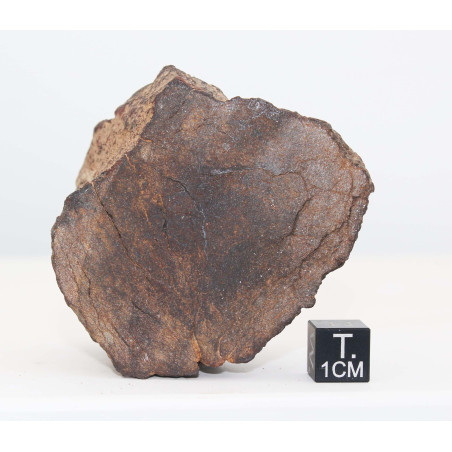 Talon de Météorite Al Haggounia 001 / MWA 4420 Chondrite EL Enstatite Melt Rock  ( 177 grammes- 028** )