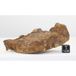Talon de Météorite Al Haggounia 001 / MWA 4420 Chondrite EL Enstatite (100 grammes - 031 ** )