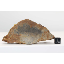 Talon de Météorite Al Haggounia 001 / MWA 4420 Chondrite EL Enstatite (100 grammes - 031 ** )