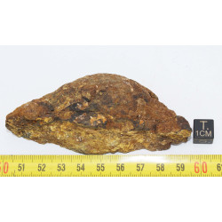 Talon de Météorite Al Haggounia 001 / MWA 4420 Chondrite EL Enstatite (100 grammes - 031 ** )
