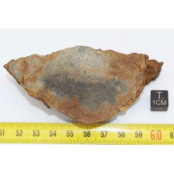 Talon de Météorite Al Haggounia 001 / MWA 4420 Chondrite EL Enstatite (100 grammes - 031 ** )