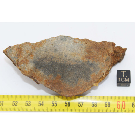 Talon de Météorite Al Haggounia 001 / MWA 4420 Chondrite EL Enstatite (100 grammes - 031 ** )