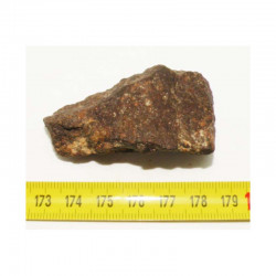 Meteorite Jiddat Al Harasis 055 ( JAH 055 - 51.00 grs - 025 )