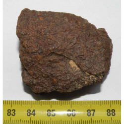 Meteorite Jiddat Al Harasis 055 ( JAH 055 - 77.00 grs - 026 )
