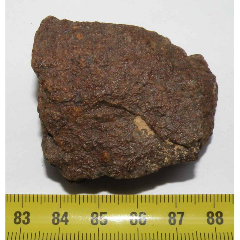 Meteorite Jiddat Al Harasis 055 ( JAH 055 - 77.00 grs - 026 ) Meteorite Jiddat Al Harasis 055 ( JAH 055 - 77.00 grs - 026 )