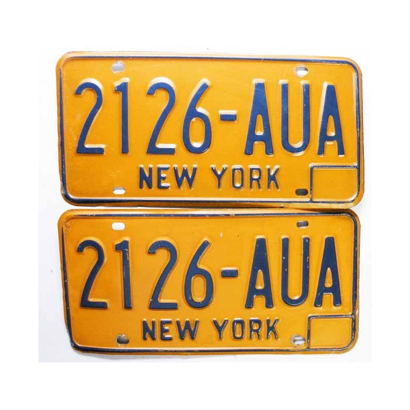 paire de Plaques d Immatriculation USA - New York ( 030 )