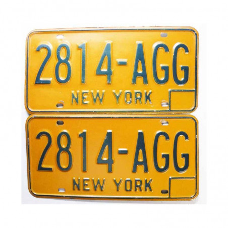 paire de Plaques d Immatriculation USA - New York ( 029 )