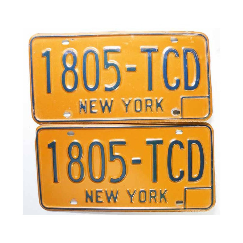 paire de Plaques d Immatriculation USA - New York ( 028 )
