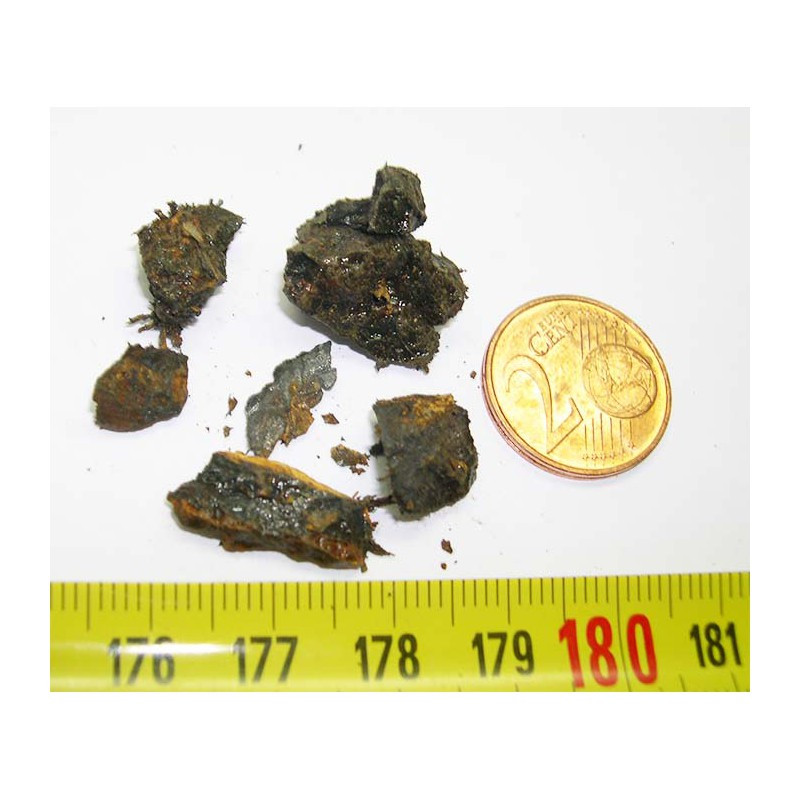 Meteorites Nantan Chine ( IIICD - 7.50 grs - 009 )