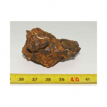 Meteorites Nantan Chine ( IIICD - 61.30 grs - 014 )