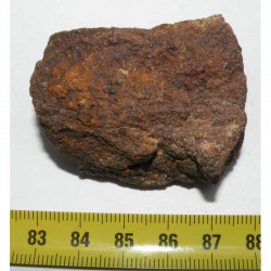 Meteorite Jiddat Al Harasis 055 ( JAH 055 - 77.00 grs - 026 )