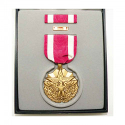 Decoration / Medaille pour Merite ( B-003 )