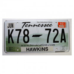 Plaque d Immatriculation USA - Tennessee ( 541 )