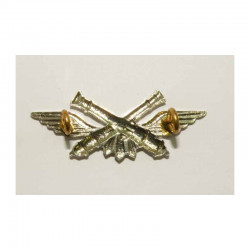 1 insigne / Brevet Armée FR ( 055 )