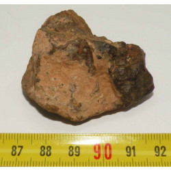 Meteorite Chondrite NWA non classée ( 199 )