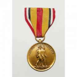 Decoration / Medaille USA marine corp reserve ( 100 )