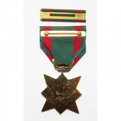 Decoration / Medaille  Vietnam Dan Vy Boi Tinh  ( 102)