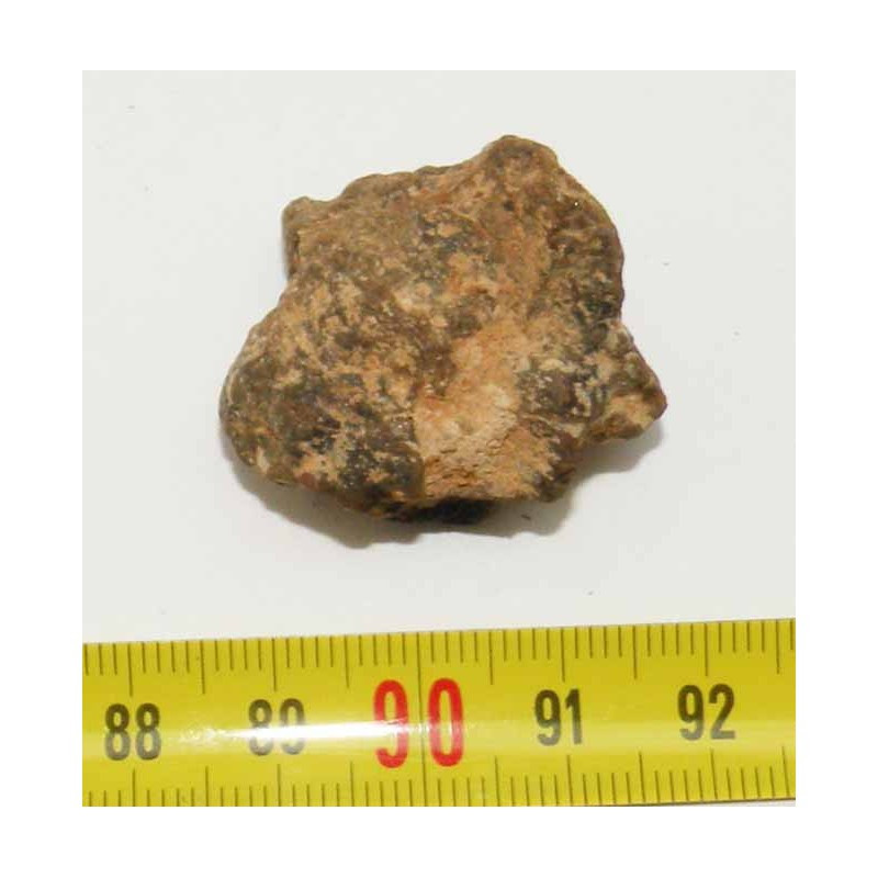 Meteorite NWA 4420 ( Achondrite - 19.10 grs - 032 )