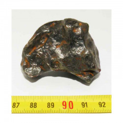 Meteorite Canyon Diablo ( 179.0 grs )